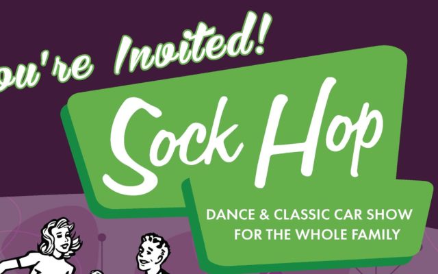 TEAMS 2nd Annual Sock Hop Fundraiser
