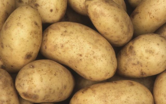 It’s National Potato Day! What’s Your Favorite Way to Eat Them?
