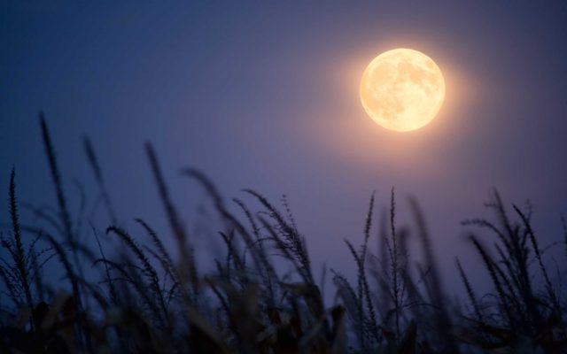 Four Things You Should Know About Tonight’s Full Moon . . . on Friday the 13th
