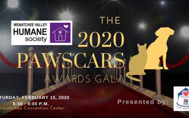 The 2020 Pawscars Awards Gala